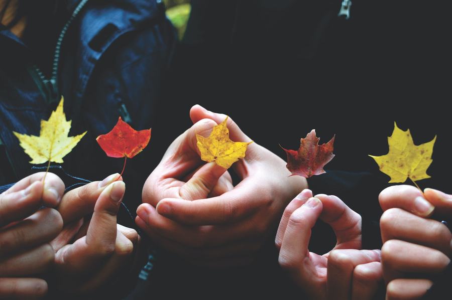Several pairs of hands each holding a single autumn leaf
