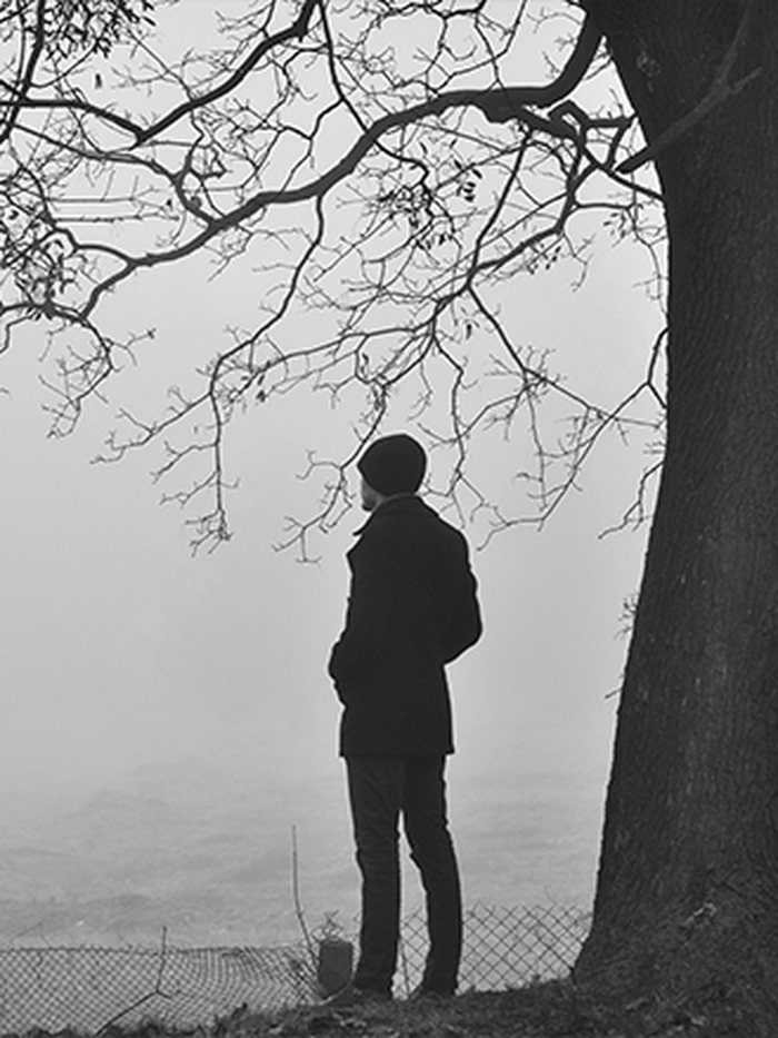 A person standing alone under a bare tree in heavy fog